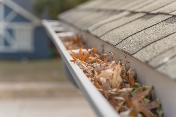 Leaf Barrier Installation in Lehigh Acres
